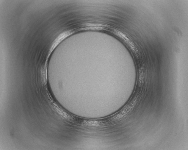 X0000115341370200911301539