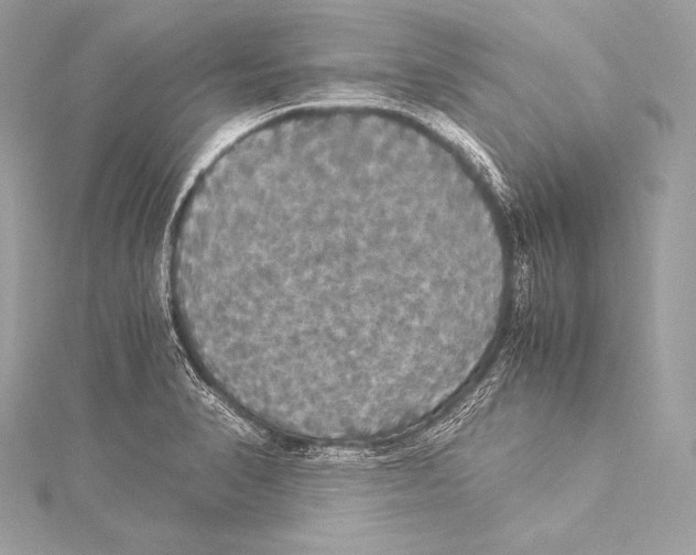 X0000115341374200911301539