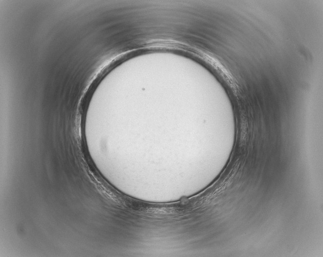 X0000115341376200911301539