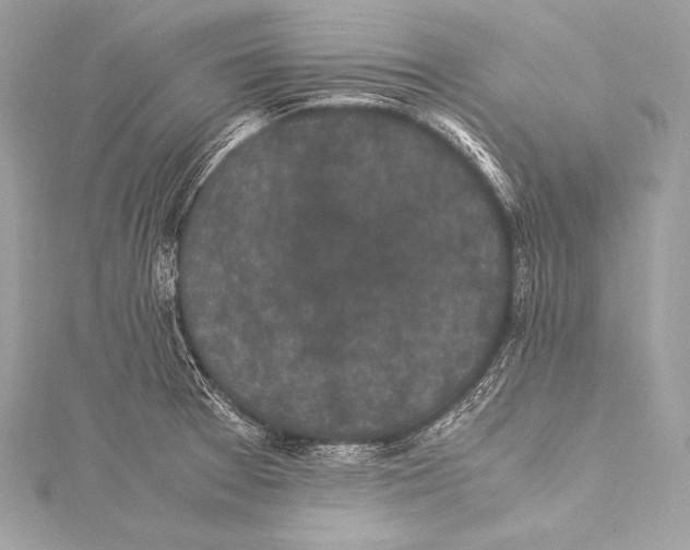 X0000115341377200911301539