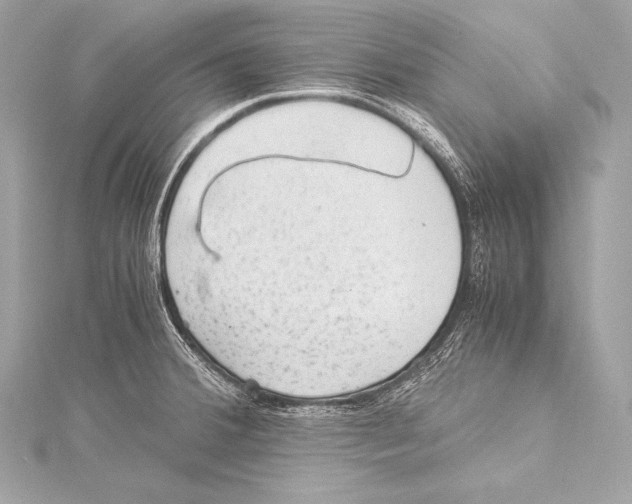 X0000115341380200911301539