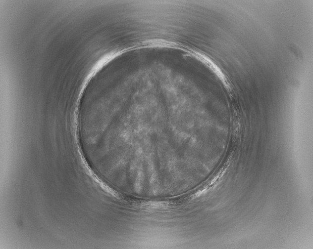 X0000115341381200911301539