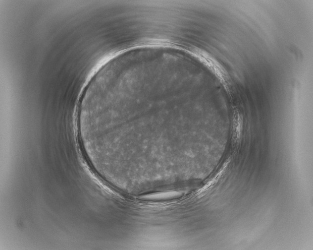 X0000115341382200911301539