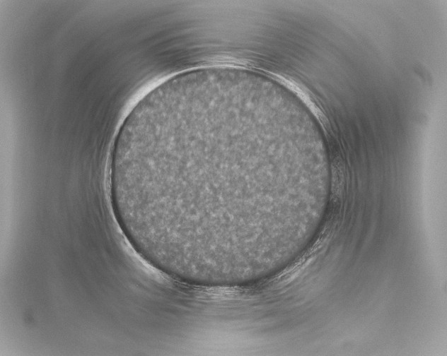 X0000115341387200911301539