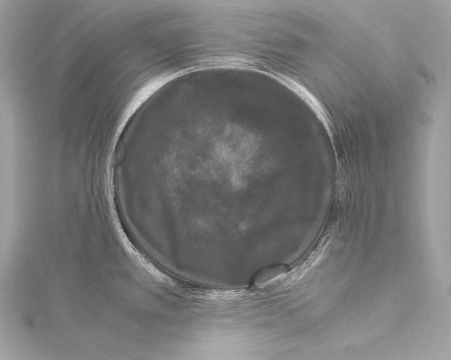 X0000115341389200911301539