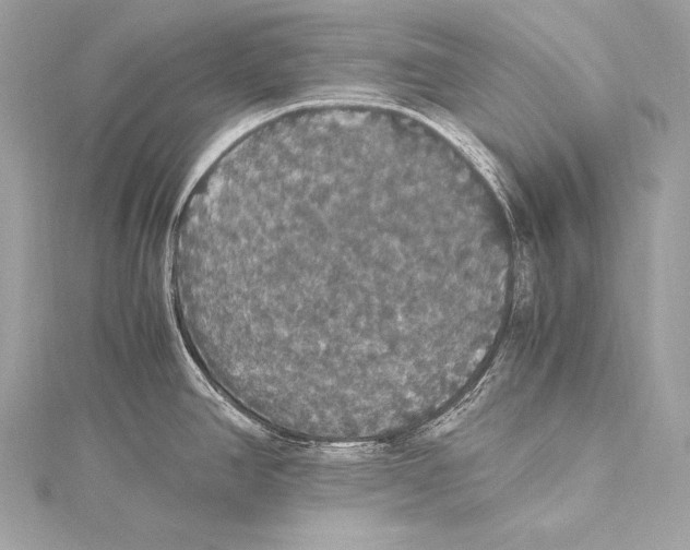 X0000115341390200911301539