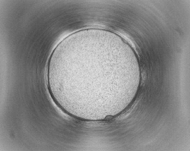 X0000115341391200911301539