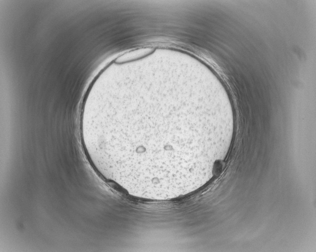 X0000115341392200911301539