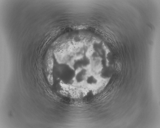 X0000115341393200911301538