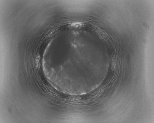 X0000115341394200911301538