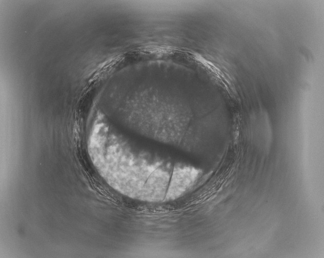 X0000115341397200911301538