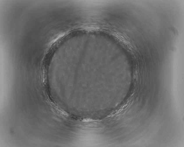 X0000115341398200911301538