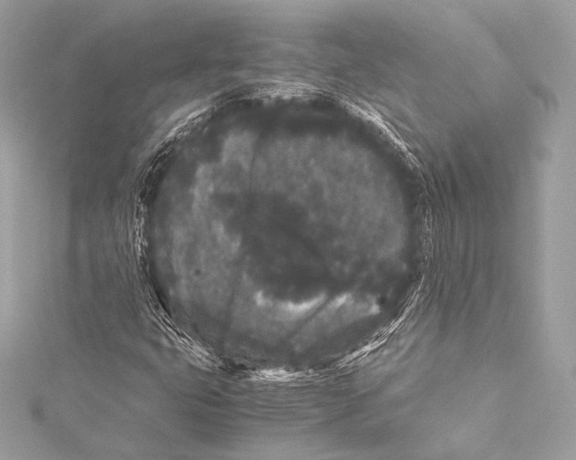 X0000115341399200911301538