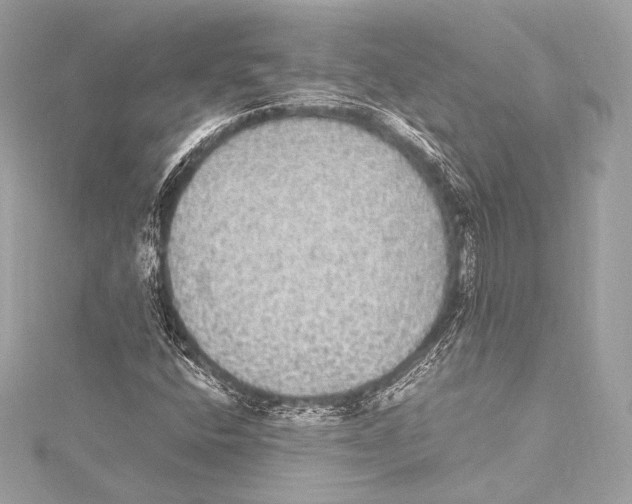 X0000115341400200911301538