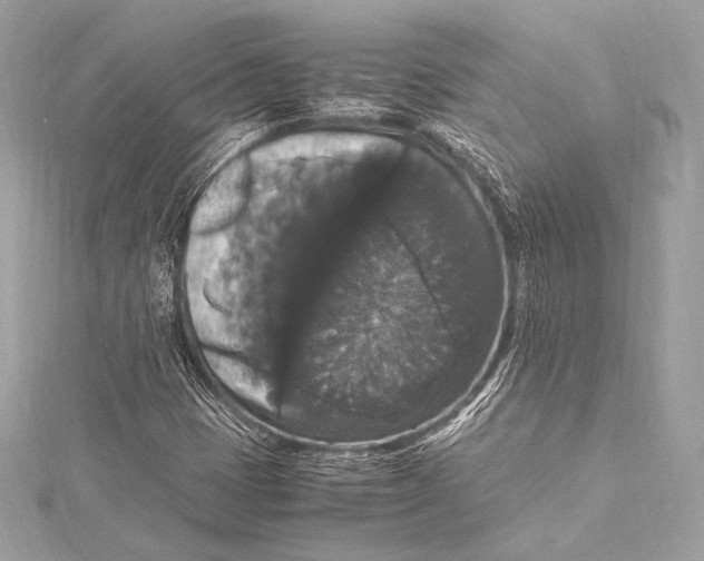 X0000115341401200911301538