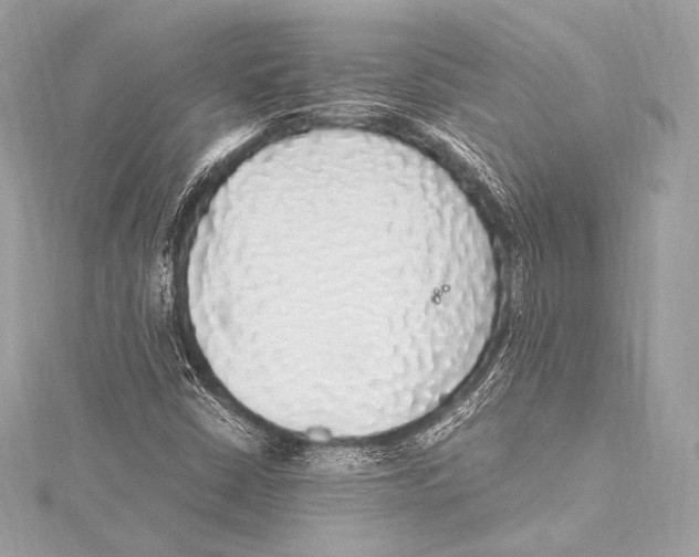 X0000115341402200911301538