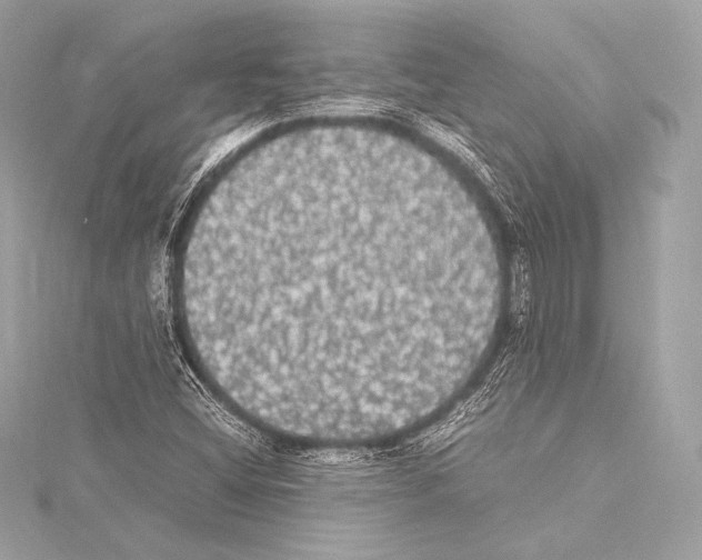 X0000115341404200911301538