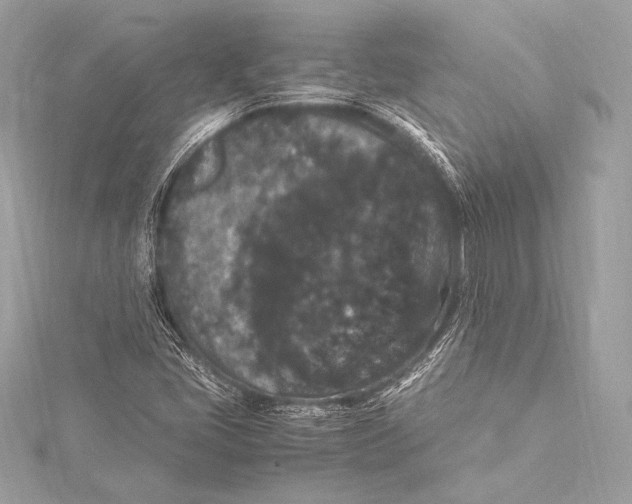 X0000115341405200911301538