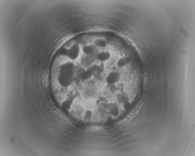 X0000115341409200911301538