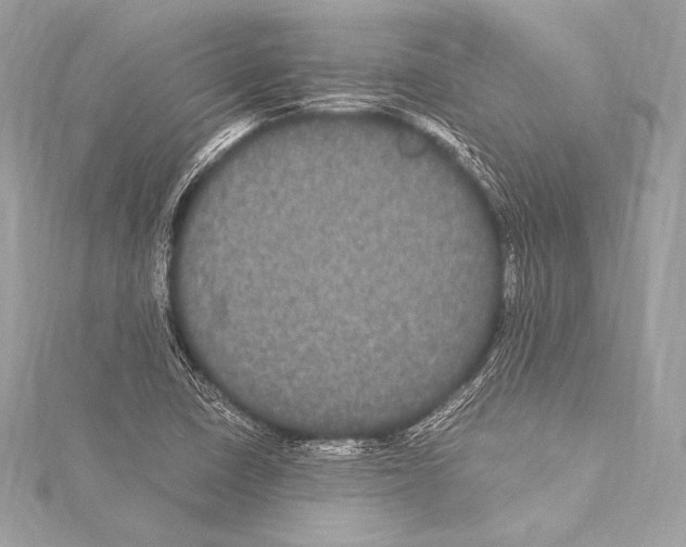 X0000115341410200911301538