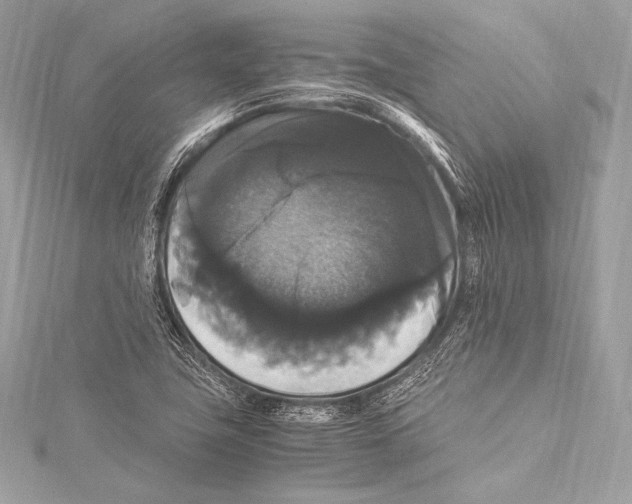 X0000115341411200911301538