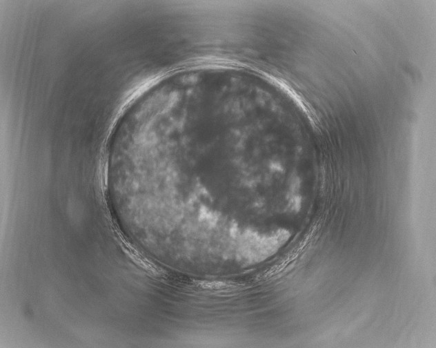 X0000115341413200911301538