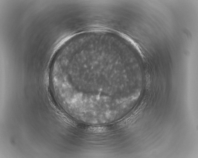 X0000115341415200911301538