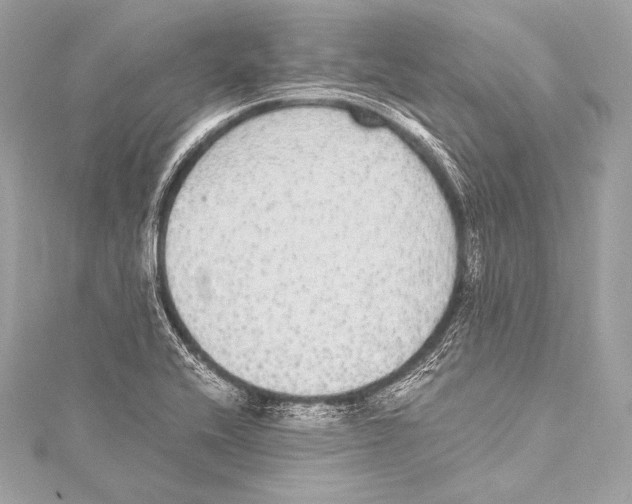 X0000115341416200911301538