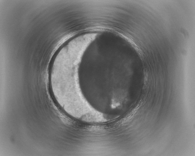 X0000115341418200911301538