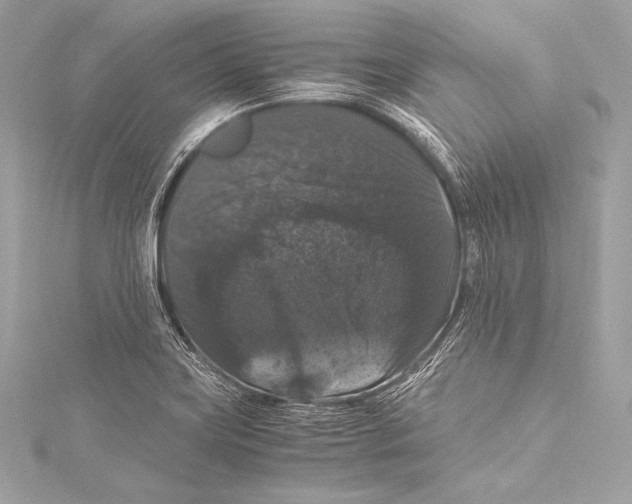 X0000115341419200911301538