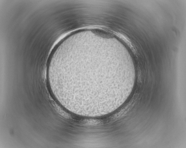 X0000115341420200911301538