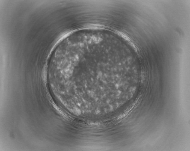 X0000115341421200911301538