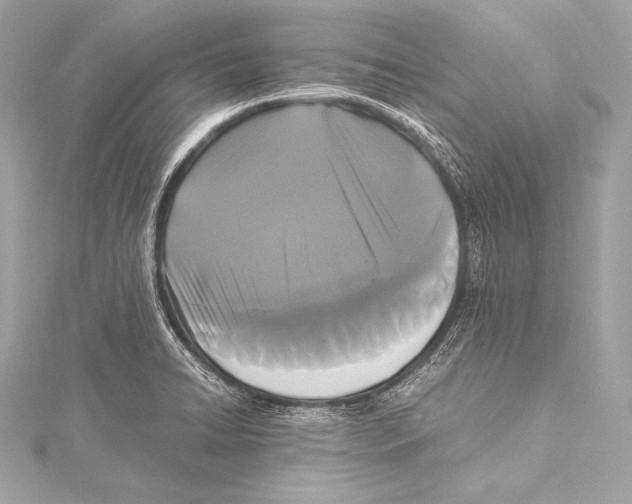 X0000115341422200911301538