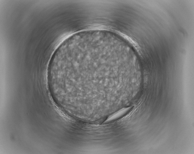 X0000115341423200911301538