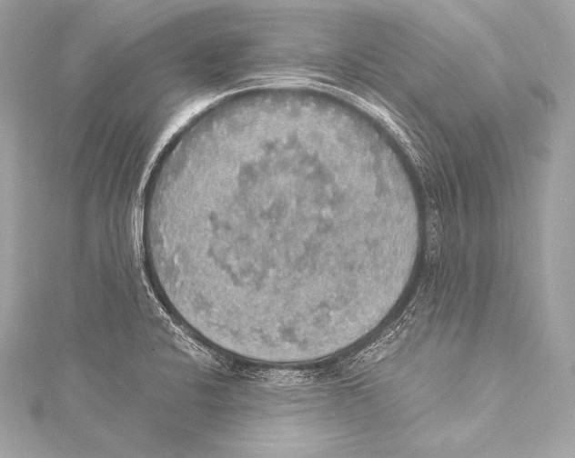 X0000115341424200911301538