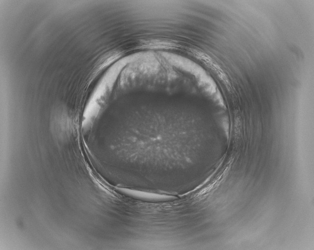 X0000115341425200911301538