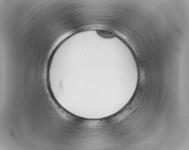 X0000115341426200911301538