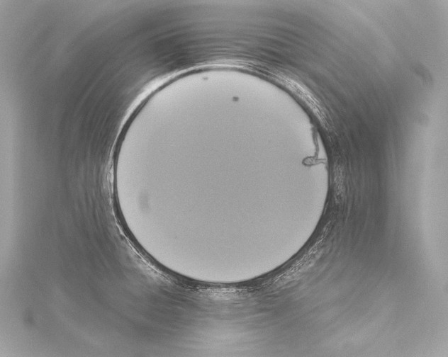 X0000115341428200911301538