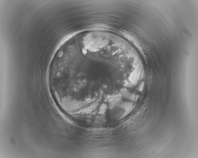 X0000115341429200911301538