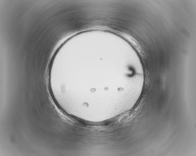 X0000115341430200911301538