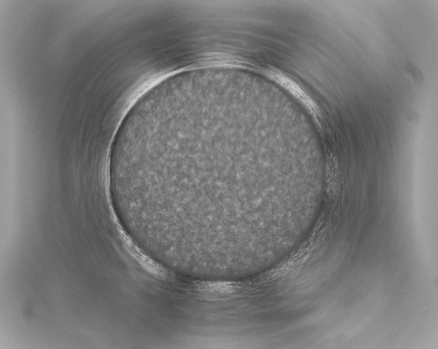 X0000115341431200911301538