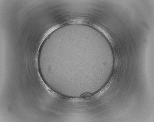 X0000115341434200911301538