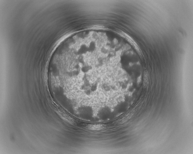 X0000115341435200911301538