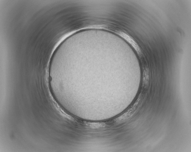 X0000115341436200911301538