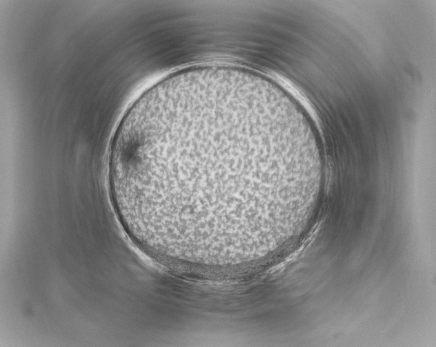 X0000115341437200911301539