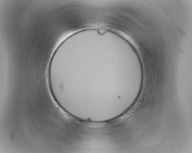 X0000115341440200911301539