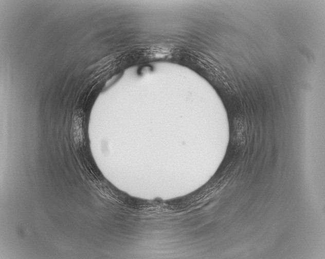 X0000115341442200911301538