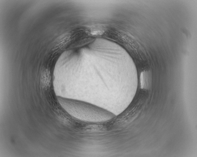 X0000115341443200911301538