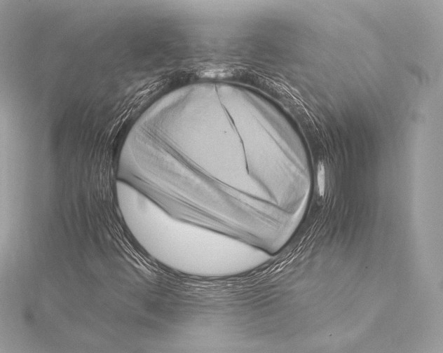 X0000115341444200911301538