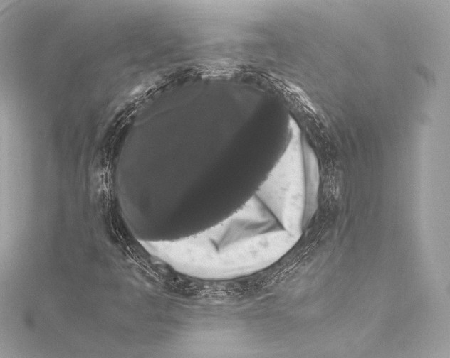 X0000115341445200911301538